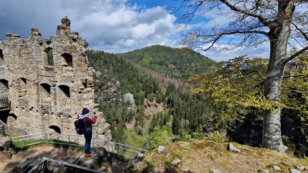 Cześć! Hallo! Ahoj! Autobusem teď projedete zeměmi Trojzemí za pár korun