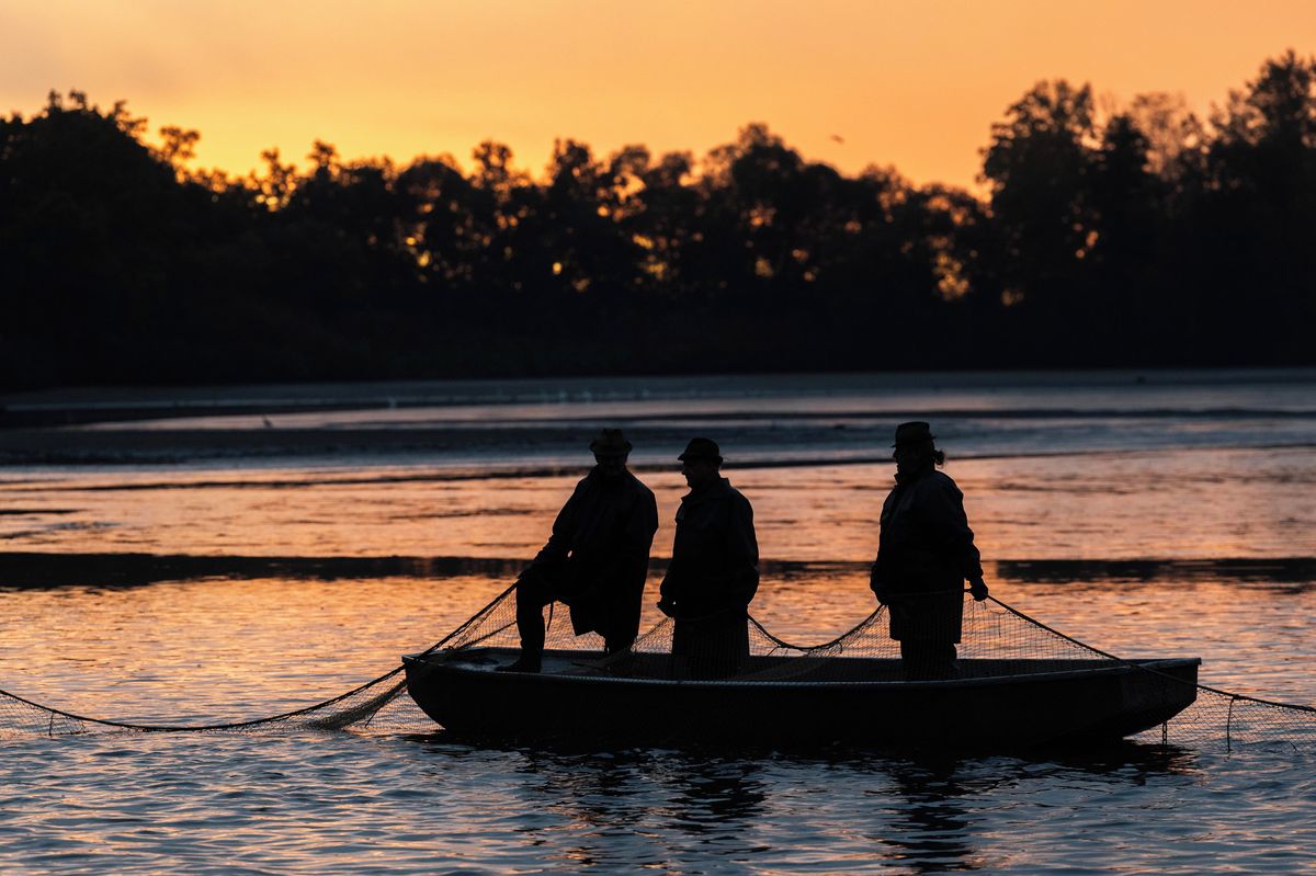 Sněmovní výbor doporučil schválit rozpočet ministerstva zemědělství