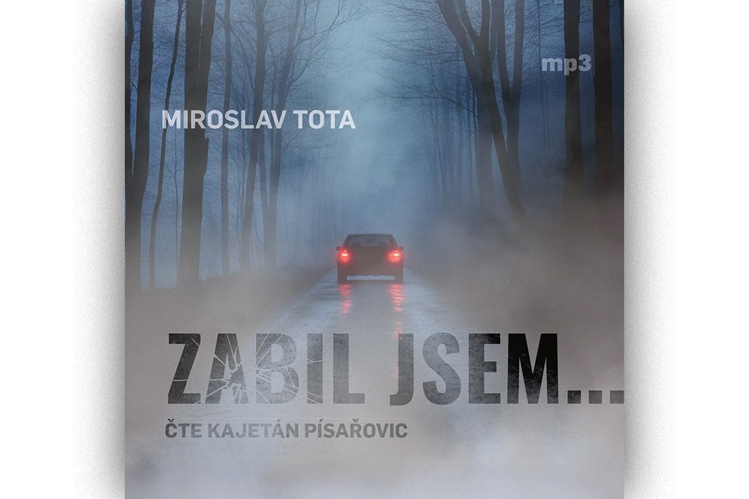 Zabil jsem… Příběh osudového neštěstí