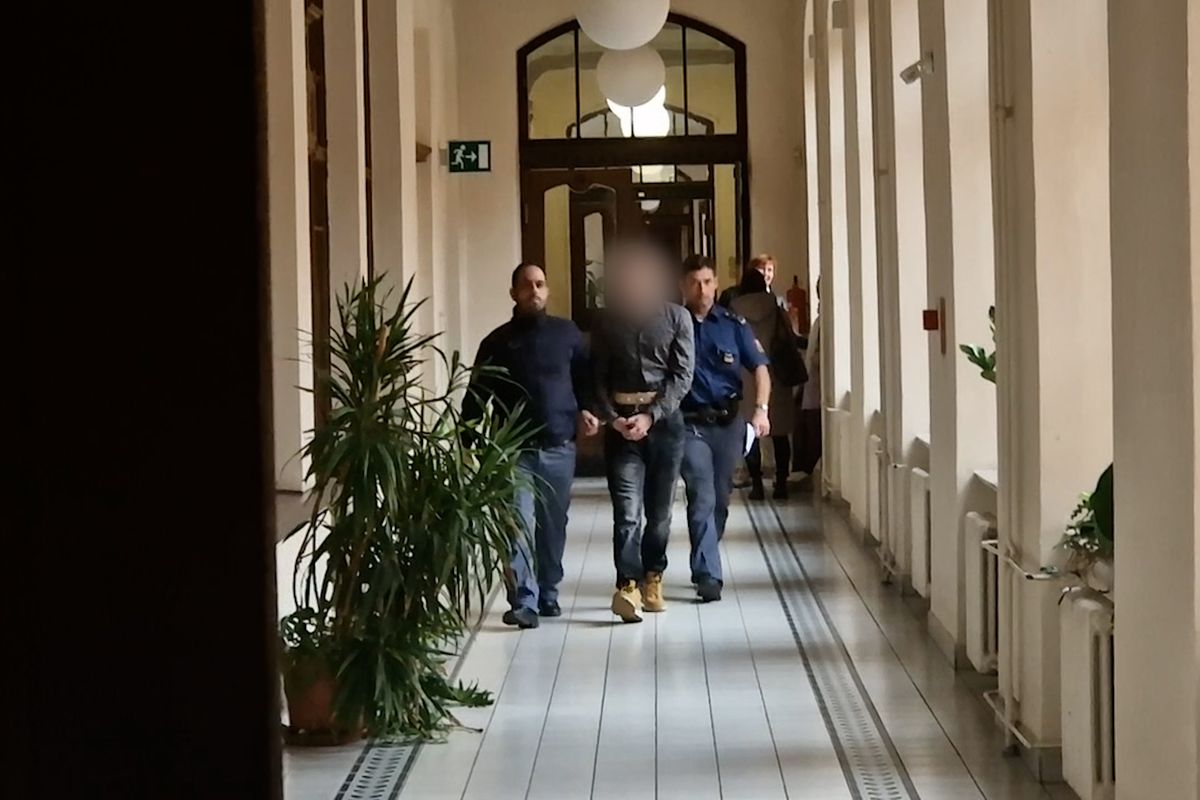 Opilec pět let týral dědu s matkou. U soudu žádali, aby nemusel do vězení