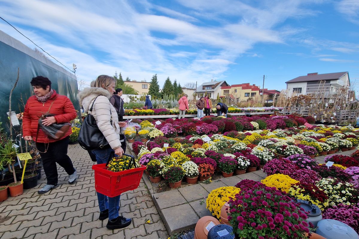 Češi z příhraničí vyrazili na státní svátek na dušičkové nákupy do „pobožnějšího“ Polska
