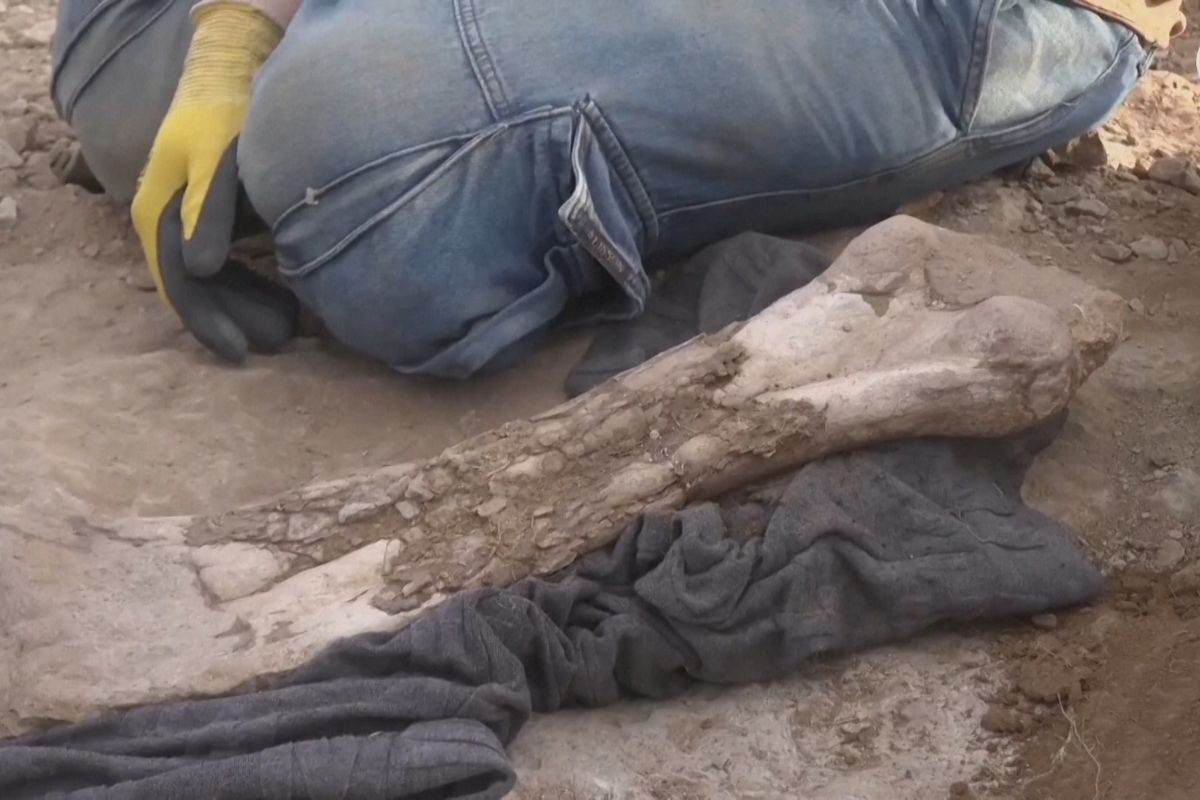 Dinosauři z Patagonie odhalují svá tajemství: vejce, embrya i poslední jídlo dravce