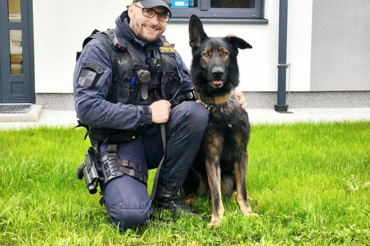 Ztracenou cizinku vystopoval v noci v Lužických horách policejní pes