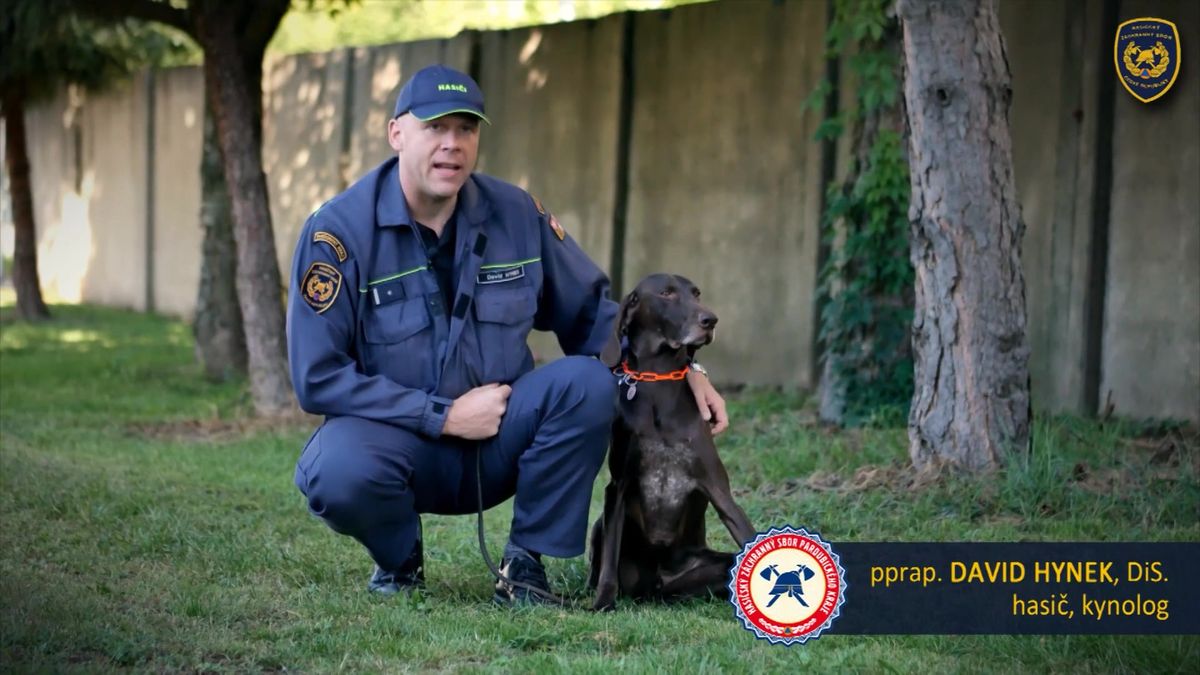 Sedm let vyhledával lidi z trosek a zachraňoval je. Nyní ohař Darren odchází do důchodu