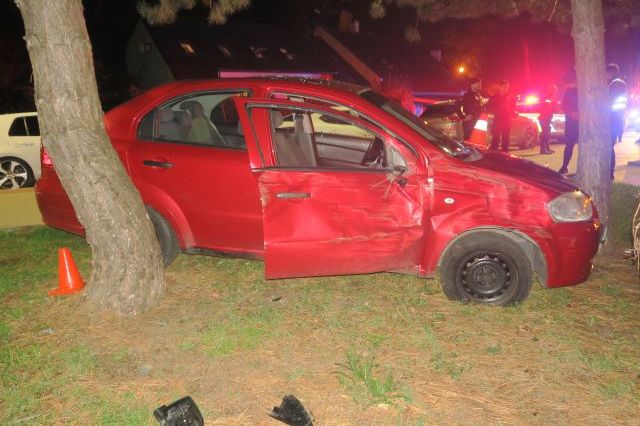 Zfetovaný, bez řidičáku a se zákazem ujížděl v Přerově policistům. Narazil do stromu