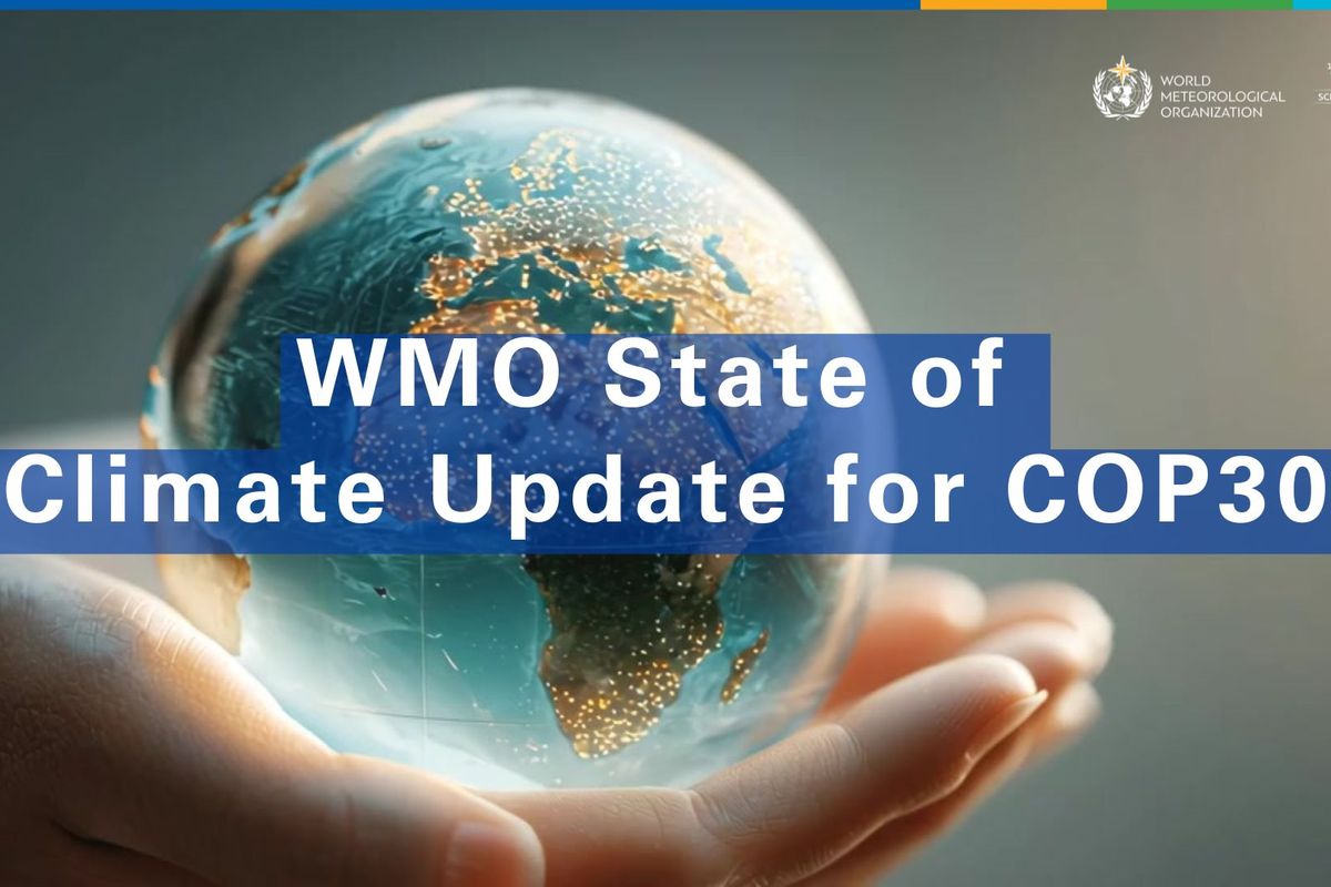 Rok 2025 bude druhý nebo třetí nejteplejší v historii měření, říká WMO