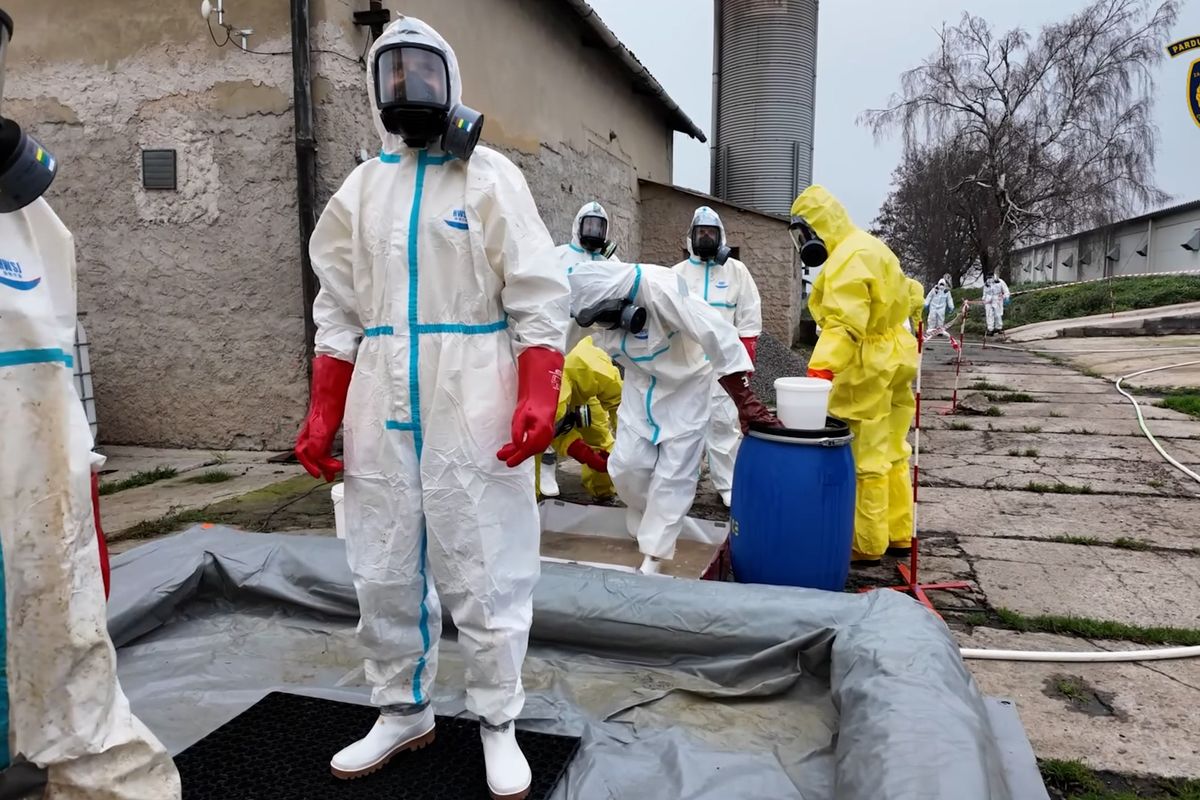 Likvidace nakaženého chovu drůbeže v Lanškrouně skončila