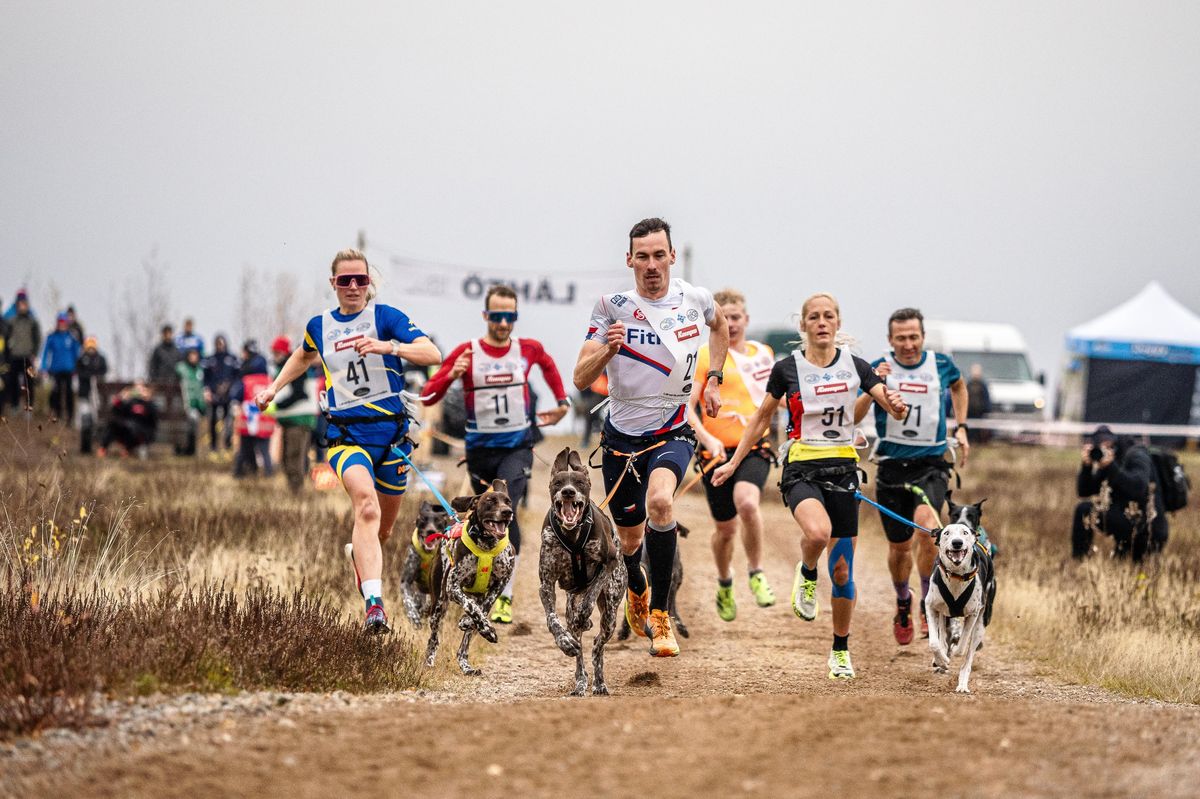 Místo koní budou o víkendu běhat na závodišti v Pardubicích psi