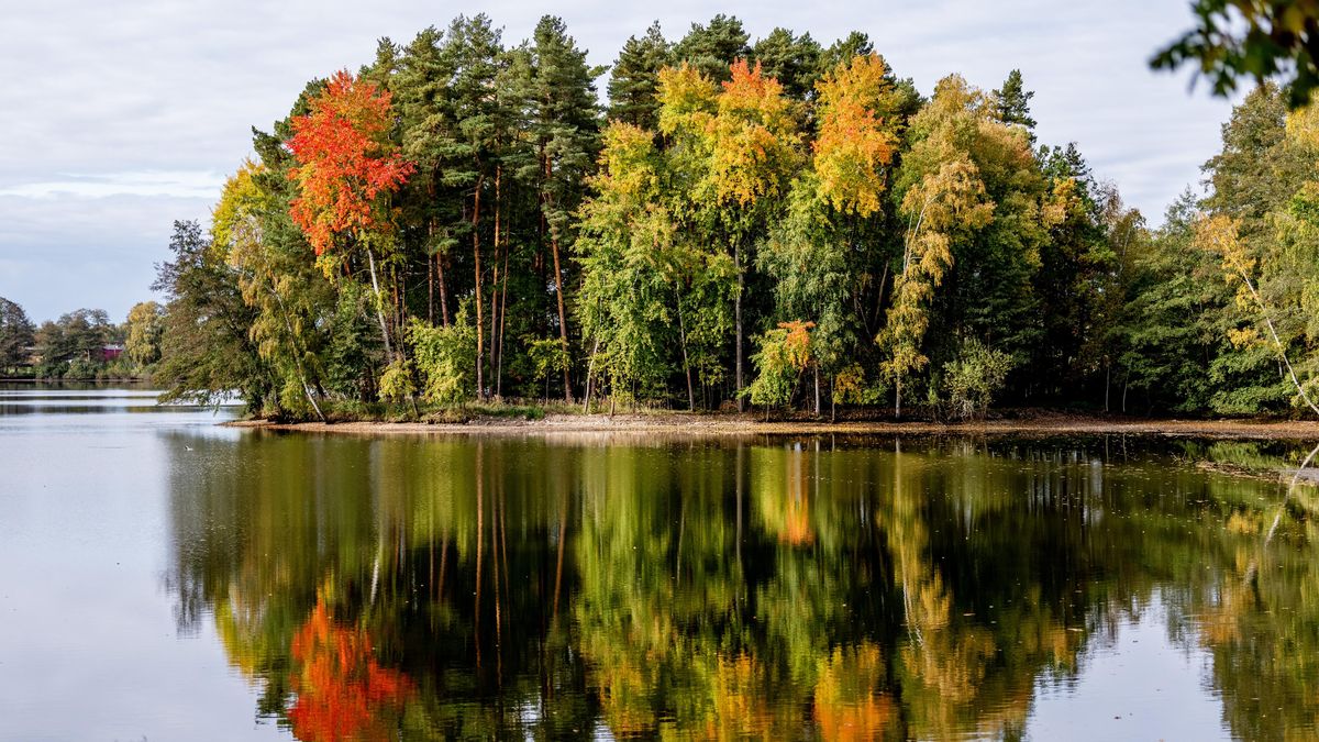 FOTO: Všechny barvy podzimu na Třeboňsku