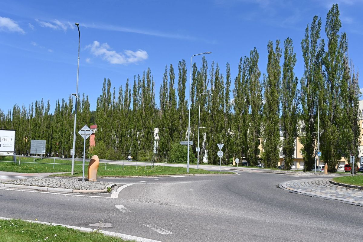 Topolová alej v Písku ohrožuje lidi. Stromy musí k zemi