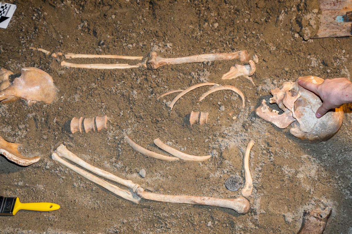 V kostech ukryté hormony. Vědci odhalili, že těhotenství lze rozpoznat i po staletích