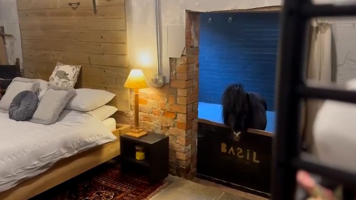 Ojedinělé ubytování nabízí nocleh ve stodole s poníkem