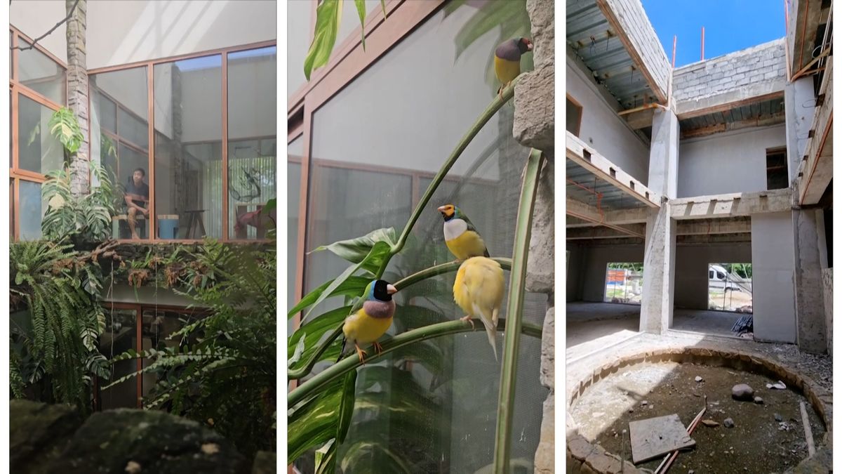 Ptáky zbožňuje. Proto jim uprostřed svého domu postavil voliéru přes tři patra