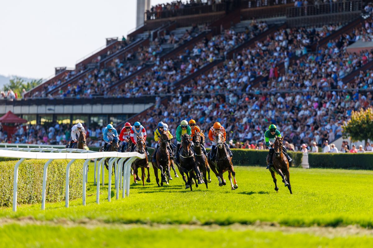 Konec nejistoty. Koně ve 120. dostihové sezoně v pražské Chuchli poběží