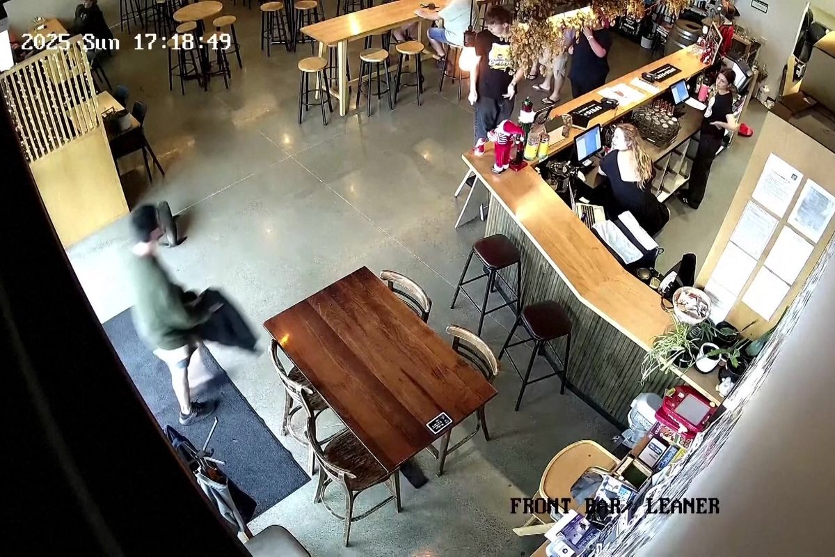 Do novozélandského baru se zatoulalo lachtaní mládě, obsluha mu nabídla lososa