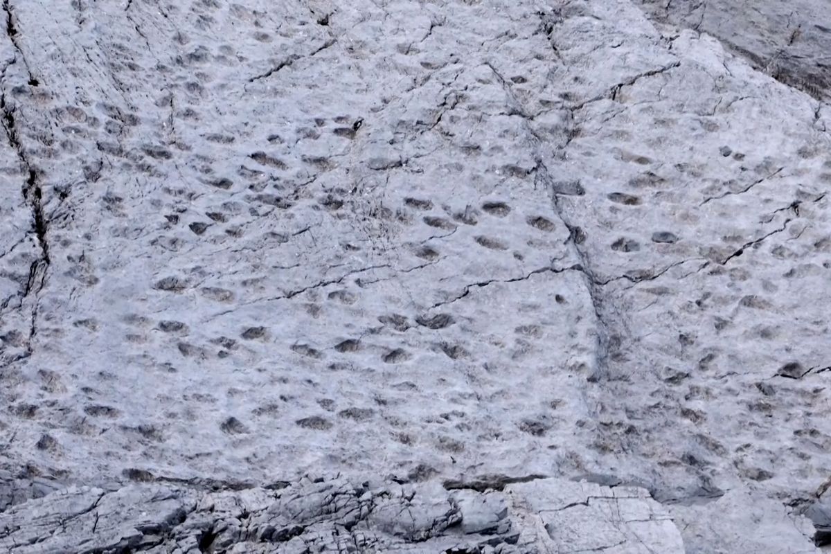 Dinosauři v srdci Alp. Tisíce stop odhalují pravěkou minulost Itálie