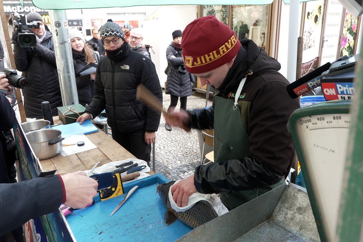 Každoroční obraz českých Vánoc. Prodej kaprů v kádích je ale pro ryby tvrdý nápor