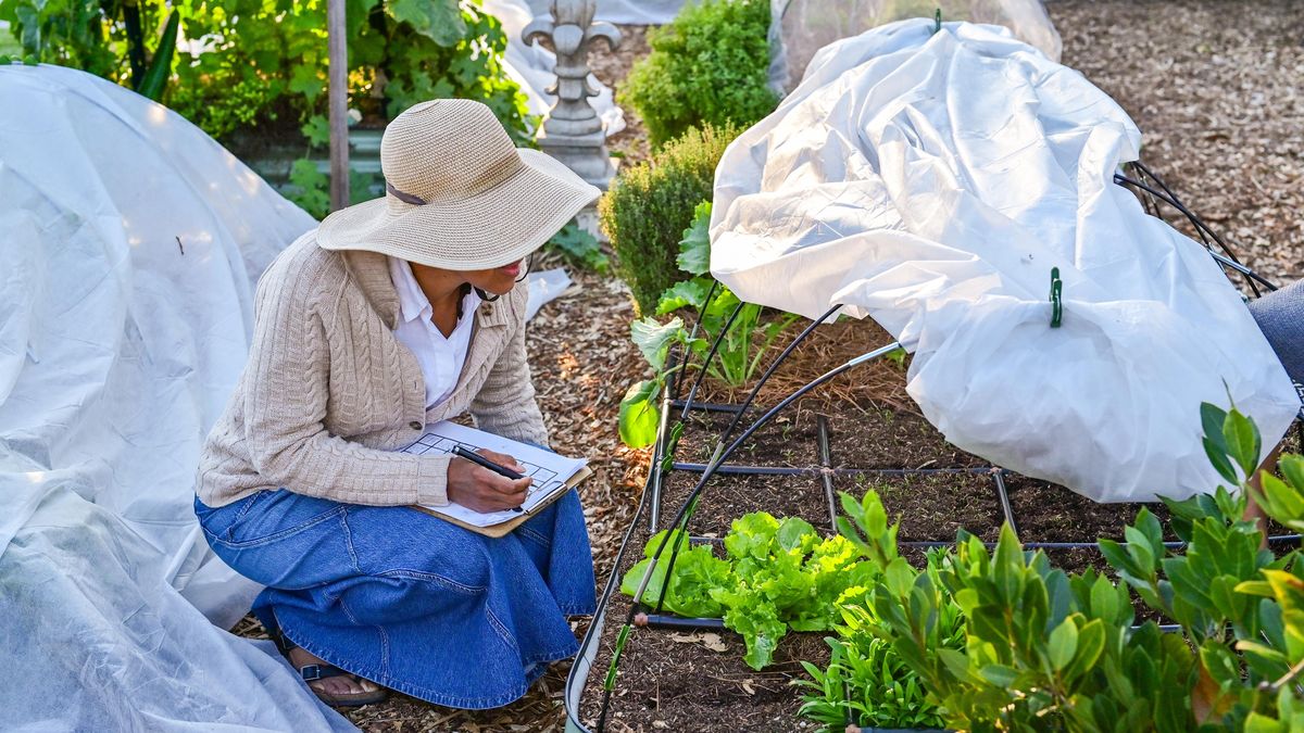 Zahradní deník: Paměť vaší zahrady, kterou se vyplatí zaznamenávat