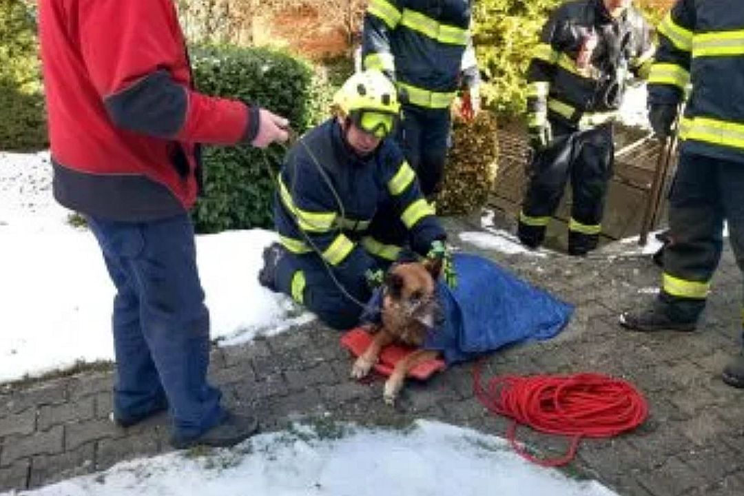 Hasiči zachraňovali na Brněnsku psa z odpadního potrubí