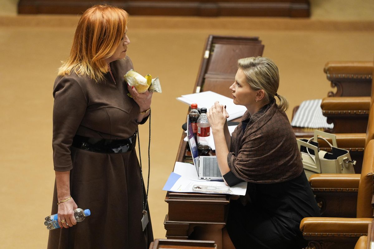 Malá z ANO zkritizovala Macinku i Pavla