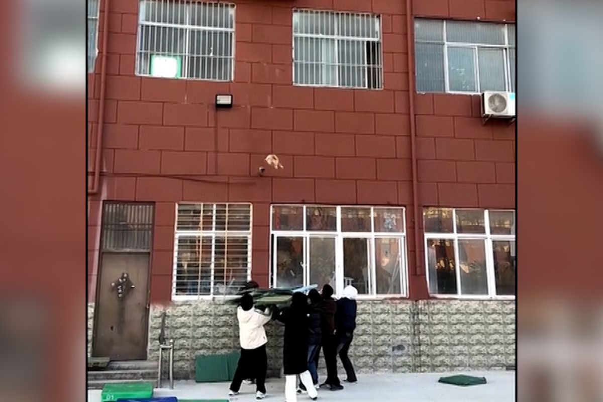 Kocour uvázl ve druhém patře na fasádě, chytili jej do podušek