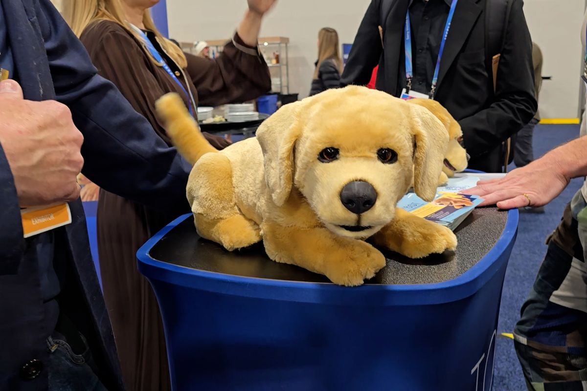 CES 2026: Robotická fenka je naprostý hit. Bude bavit nemocné