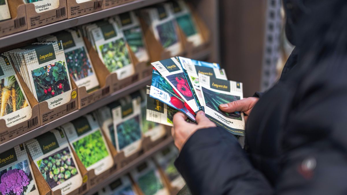 Zkontrolujte, roztřiďte, otestujte: jak zajistit, aby nová semínka letos vyklíčila