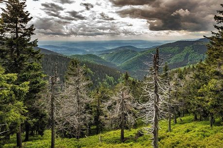 Chřadne příroda i krajina, akademici budou krizi biodiverzity v ČR čelit společně