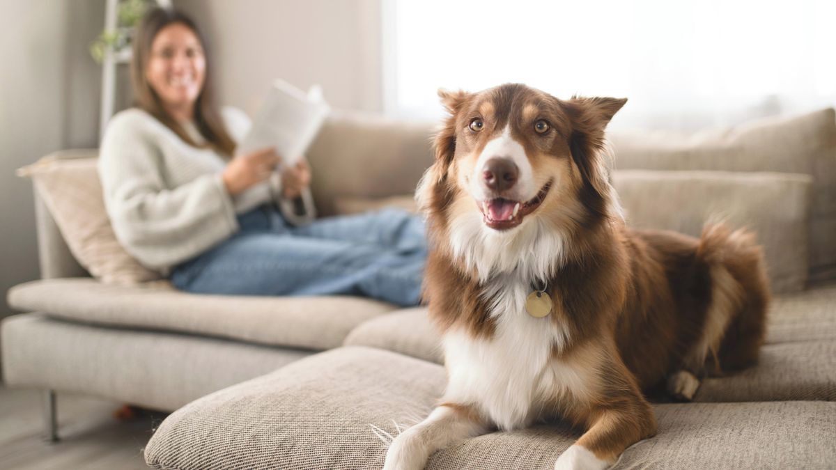 KVÍZ: Netradičních i extrémních povolání je ve světě celá řada. Vyznáte se v nich?