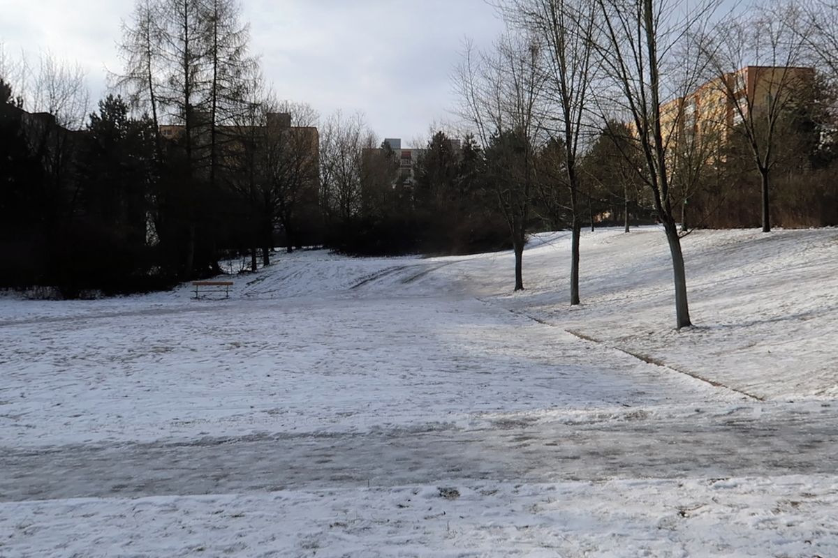 Národ pejskařů? Na plzeňském sídlišti zařízli projekt psí loučky
