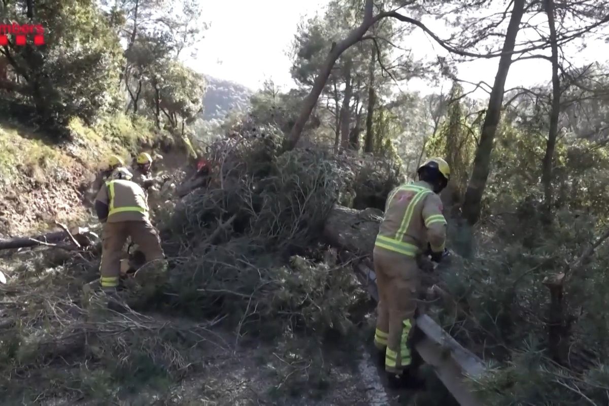 Větrná bouře Nils lámala v Evropě rekordy, s dalším úderem přichází Oriana