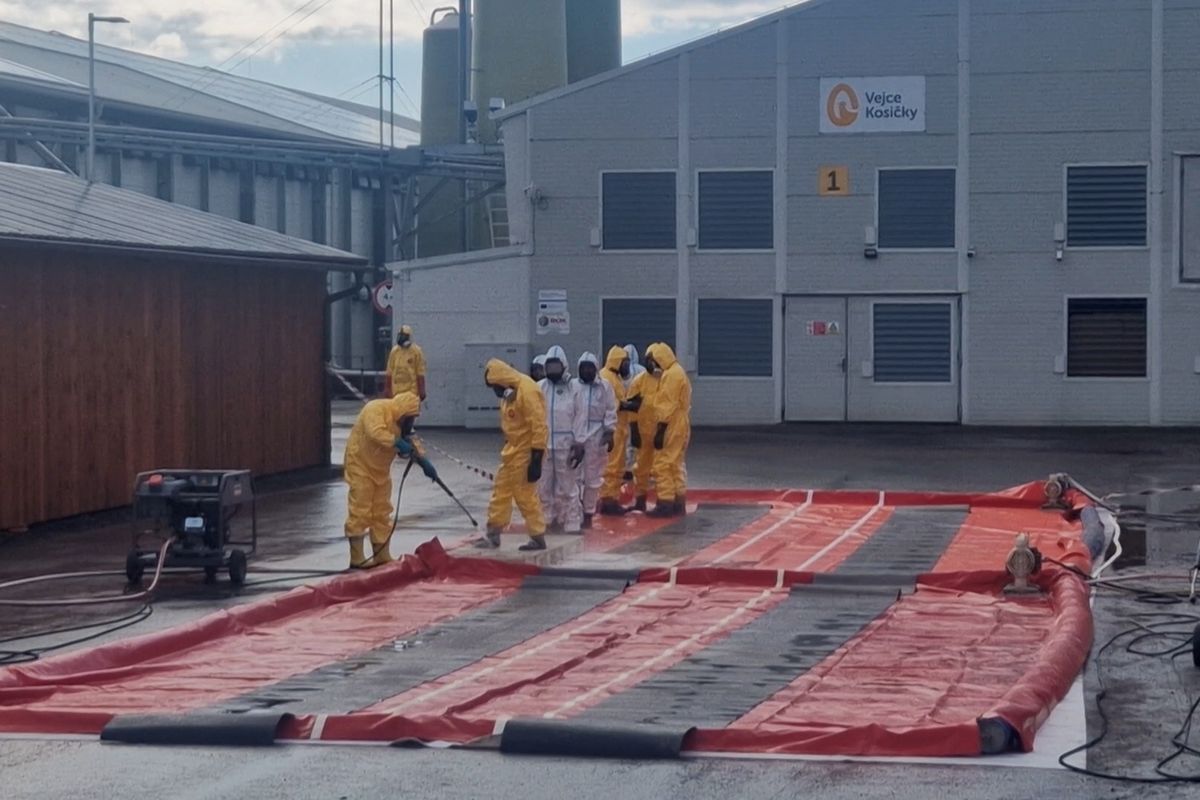 V Kosičkách začalo vybíjení 236 tisíc slepic nakažených ptačí chřipkou. Vejce asi podraží