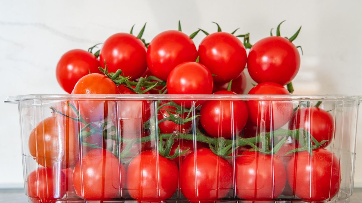 Vypěstujte si vlastní rajčata z těch ze supermarketu. Využijete i krabičku, v níž jste si je přinesli