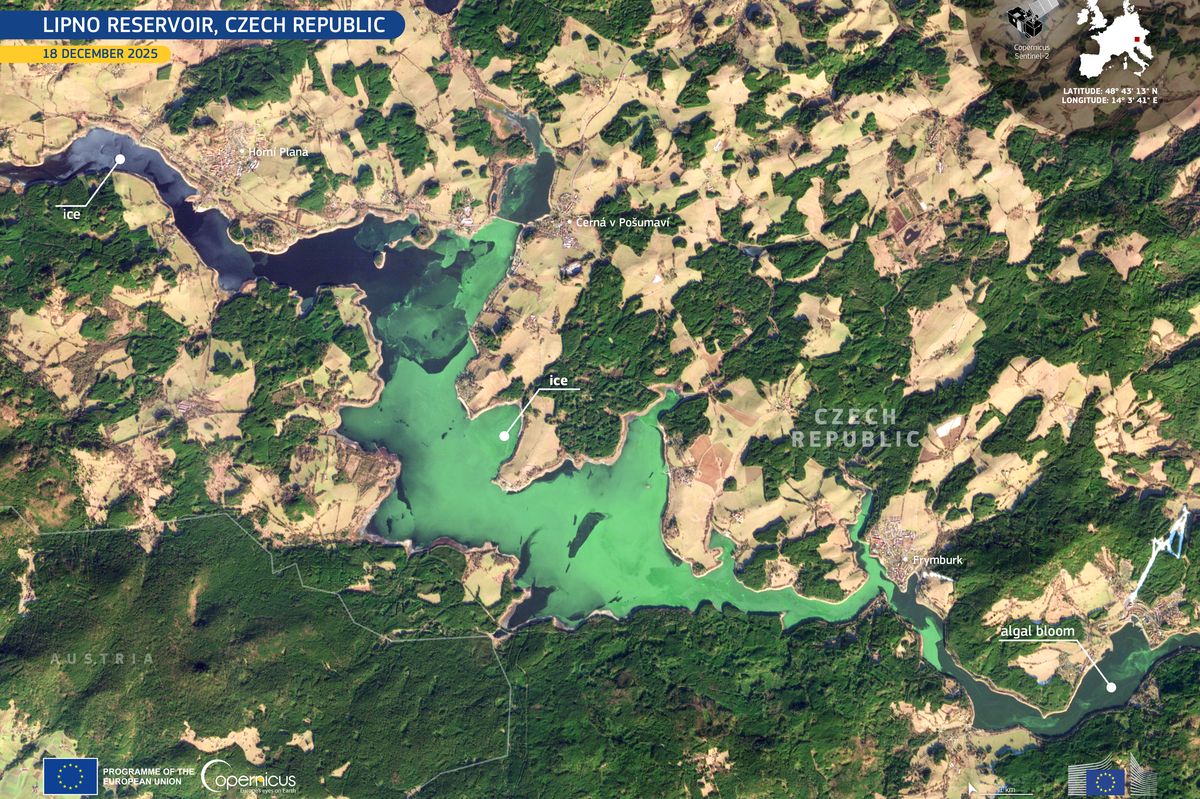 Zelený led na Lipně. Voda měla v prosinci stejnou koncentraci sinic jako kvetoucí rybníky v létě