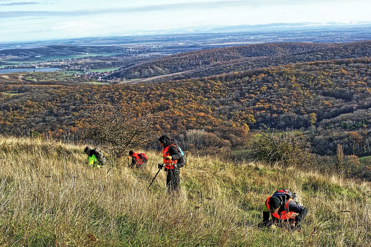 Největší hradiště doby bronzové na Moravě zničil vojenský konflikt. Stálo na Pálavě