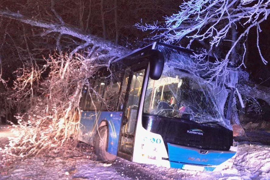Řidička autobusu na Plzeňsku přerazila strom, spadl na střechu