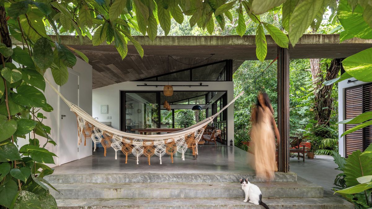 Architekti navrhli dům, který se stal součástí pralesa