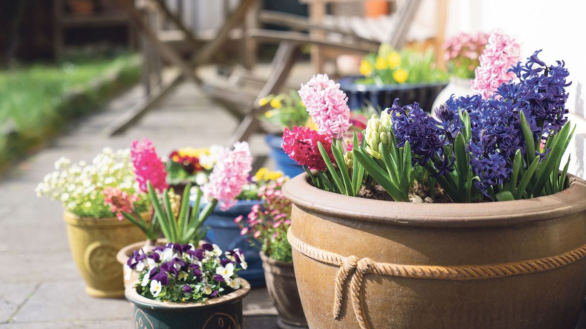 Užijte si rozkvetlé jaro