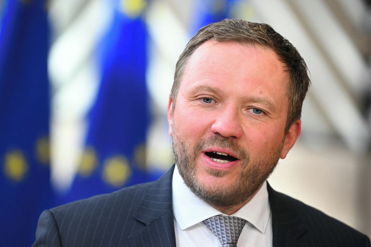 Dron, který zasáhl estonskou elektrárnu, byl ukrajinský