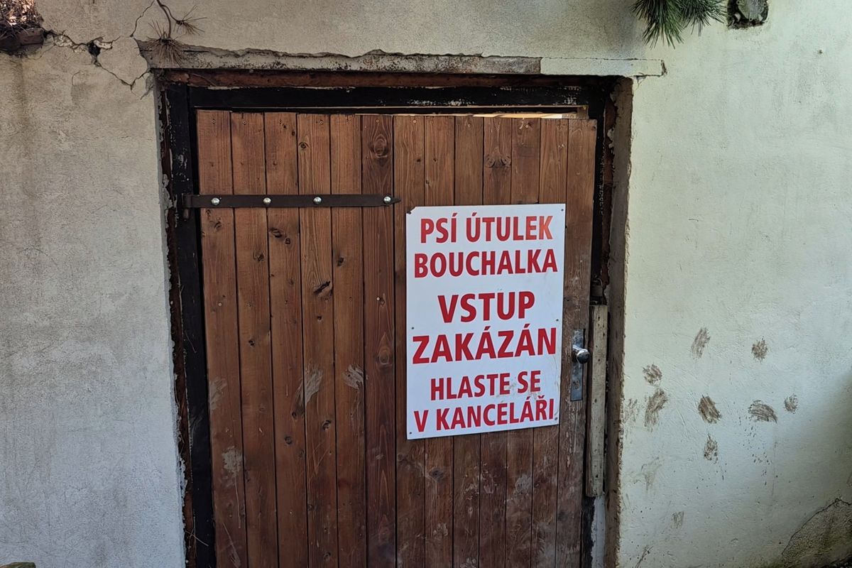 Údajné týrání a utrácení psů v útulku na Kladensku řeší veterináři i policie