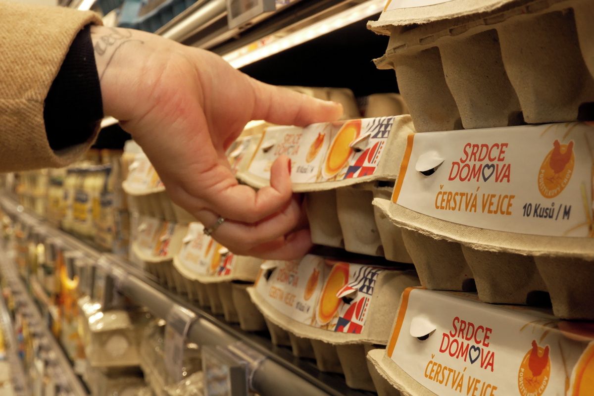 Vejce kvůli ptačí chřipce a vyšší poptávce ještě podraží