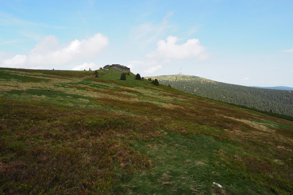 Horské ekosystémy se kvůli oteplování mění pětkrát rychleji než lesy a louky