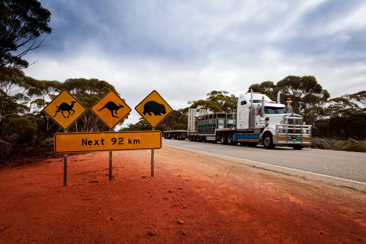 Poloviční daň a veřejná doprava zdarma. Drahý benzín začala řešit i Austrálie