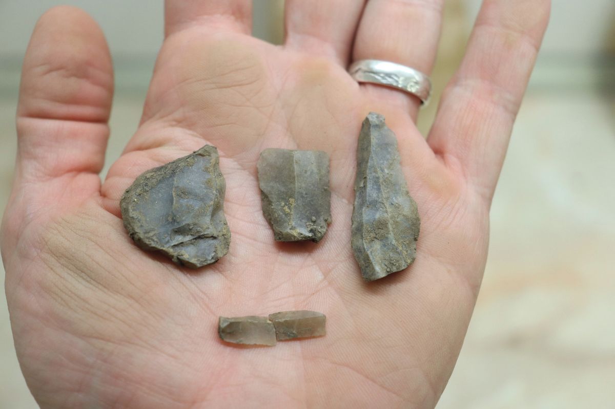 Šalinou až do pravěku. V Brně se na stavbě kolejiště našly střepy z doby kamenné