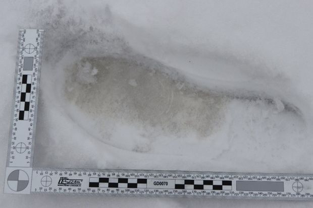 Mladík vykrádal v Klášterci domy a zahrádky. Usvědčily ho stopy zanechané ve sněhu