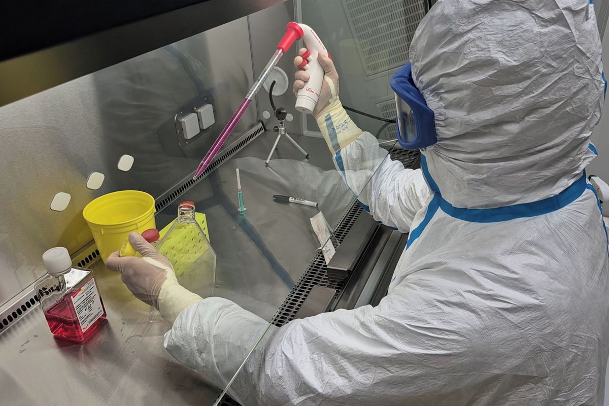 Nové centrum na Masarykově univerzitě dává naději na účinnější léčbu vzácných onemocnění