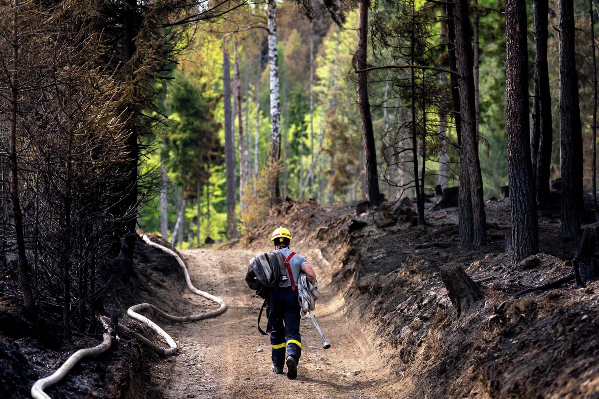Na Benešovsku hoří les a chaty, hasiči vyhlásili zvláštní stupeň
