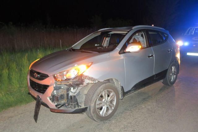 Řidička na Prostějovsku srazila autem srnce, skončila v nemocnici. Škoda 160 tisíc