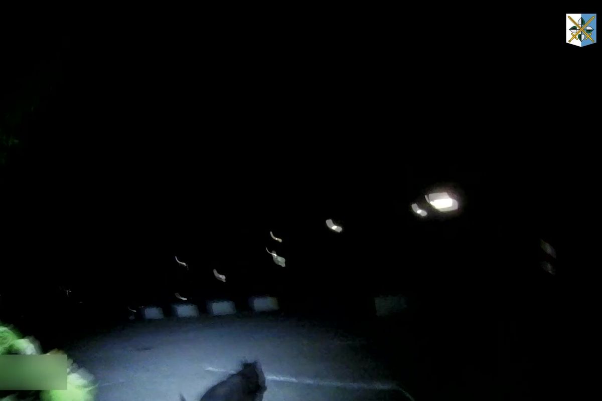 Návrat k lupu z benzinky v Karviné se pachateli nevyplatil. V křoví ho vypátral policejní pes