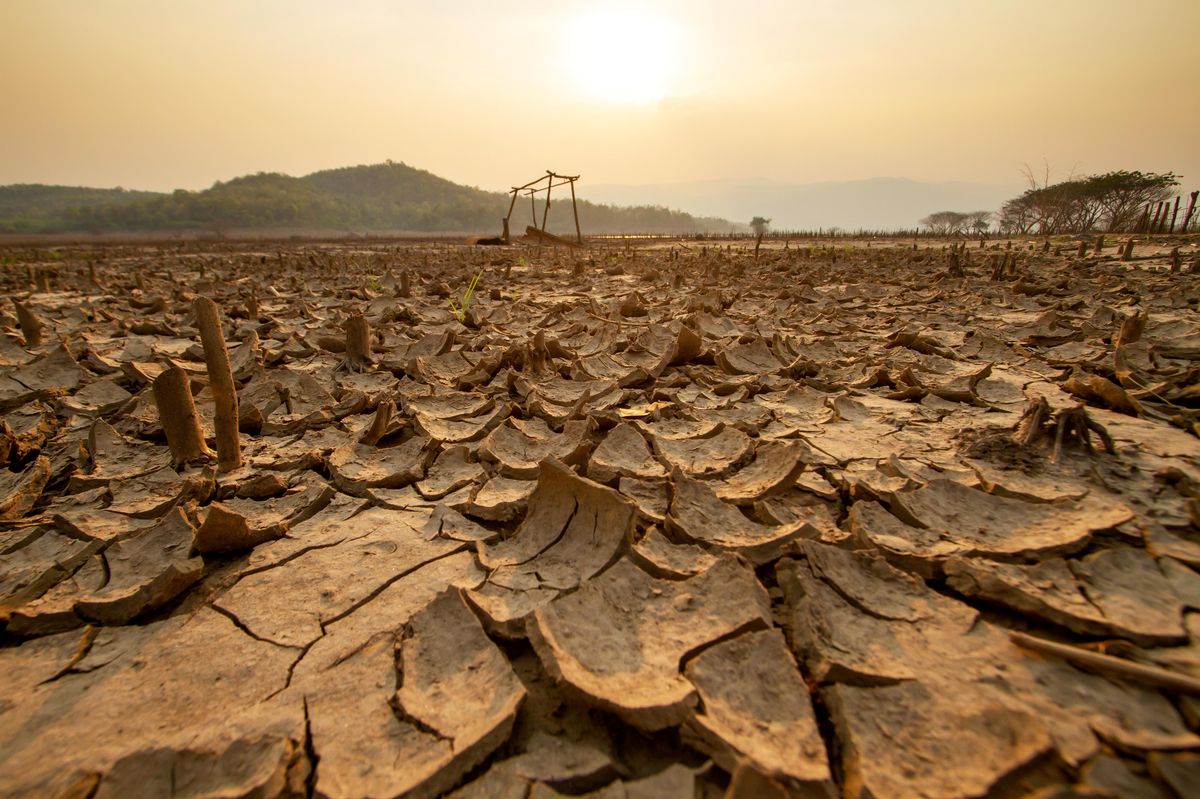 Blíží se super El Niño. Před 150 lety přispělo k hladomoru milionů lidí